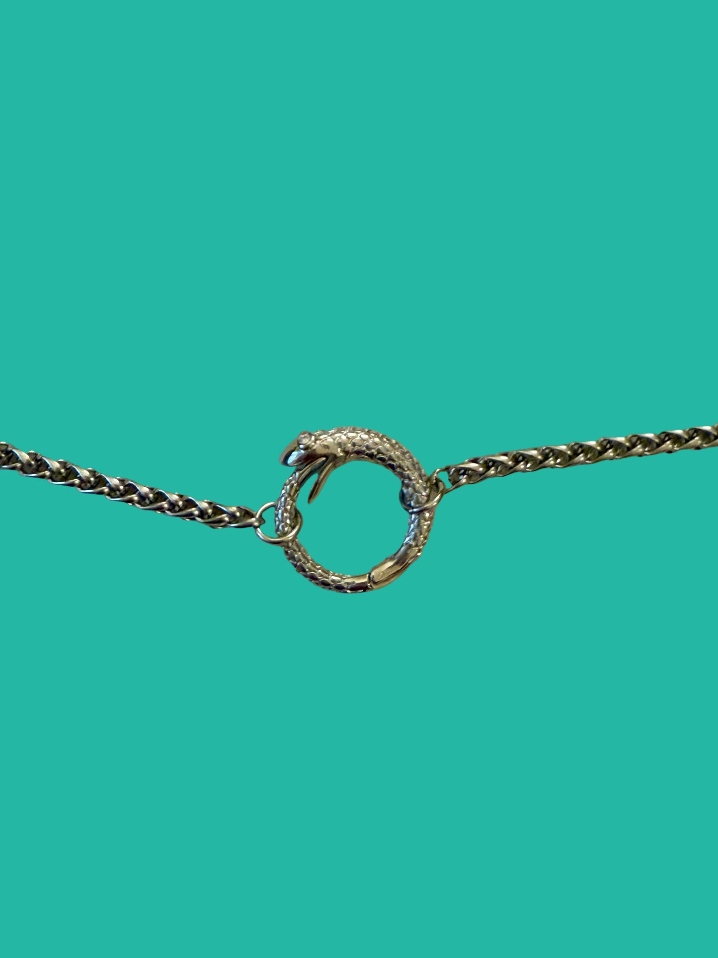 Snake Clasp