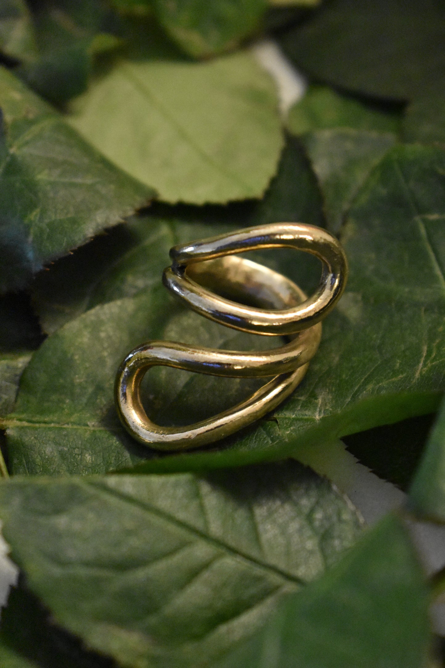 The Continuo Ring