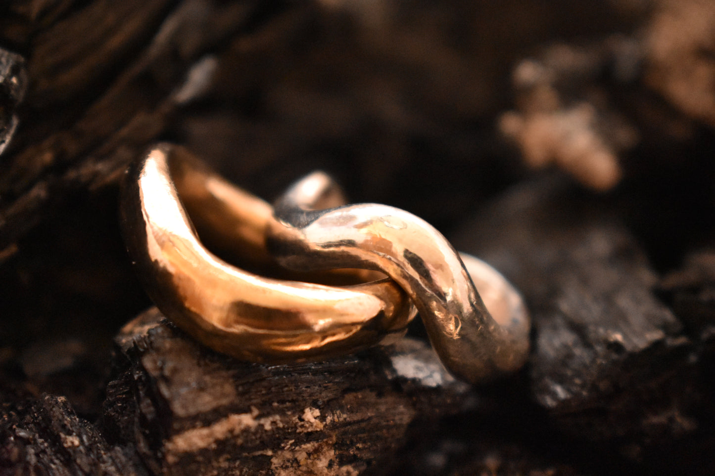 The Fluere Ring