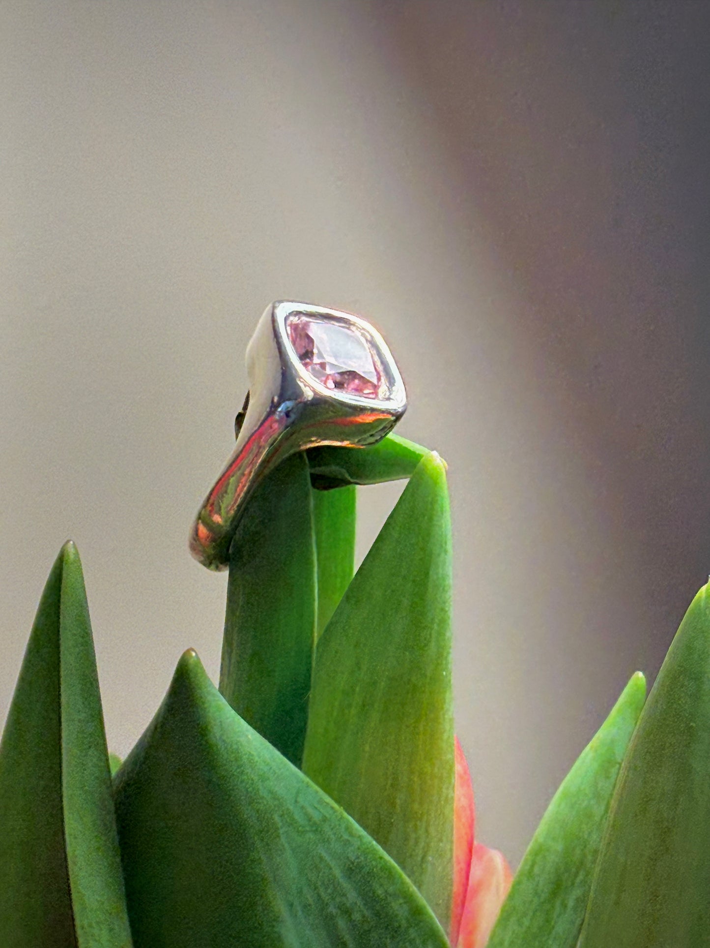 The Floresco Ring