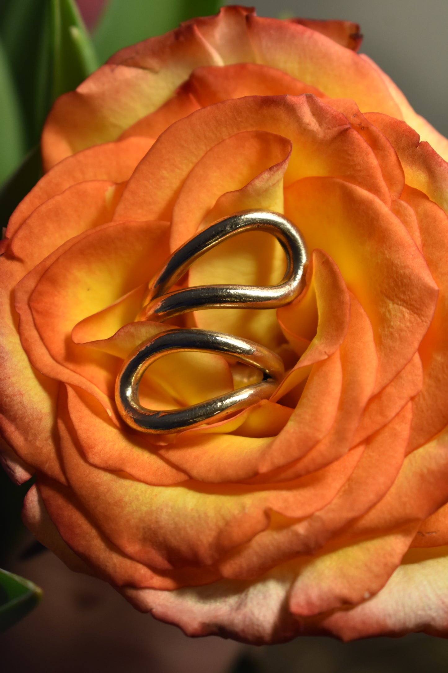 The Continuo Ring